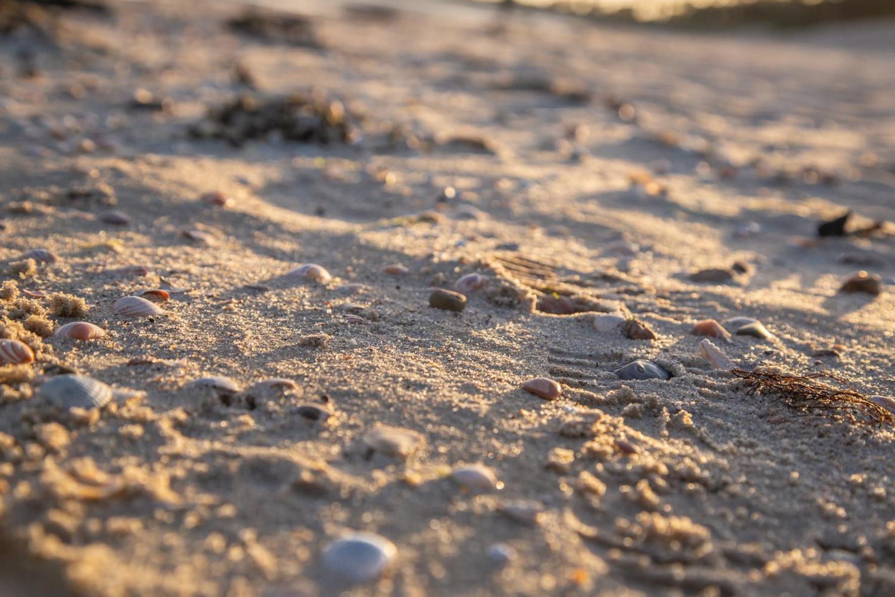 Wohnen Am Suedstrand - Ferienwohnung 0 3 Wyk auf Föhr Kültér fotó